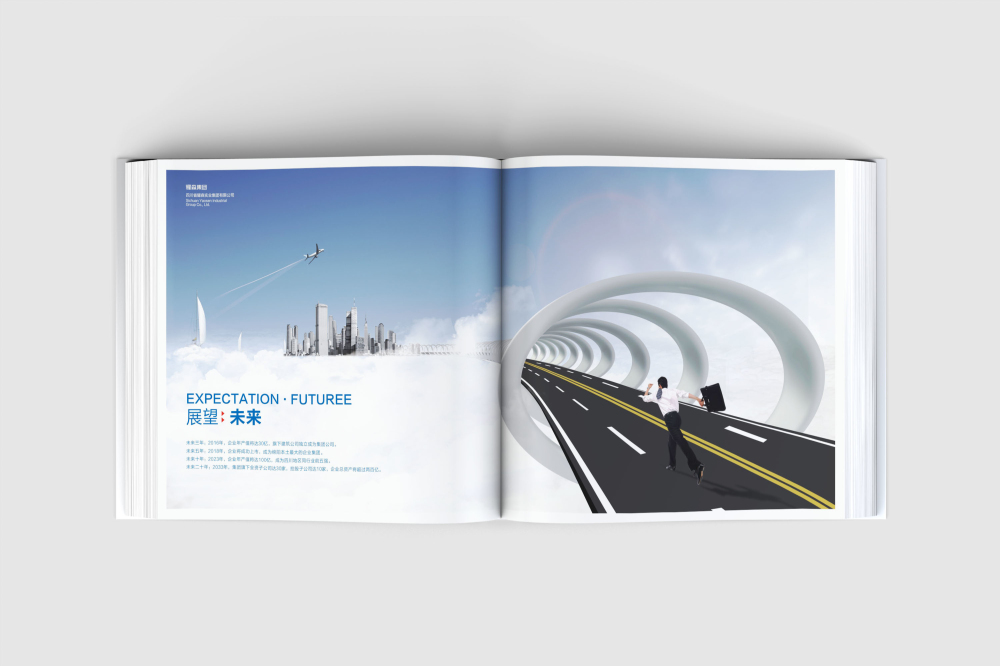 磴口县画册设计